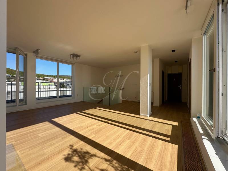 Living room in a 4-room apartment with wood-patterned flooring and large windows.