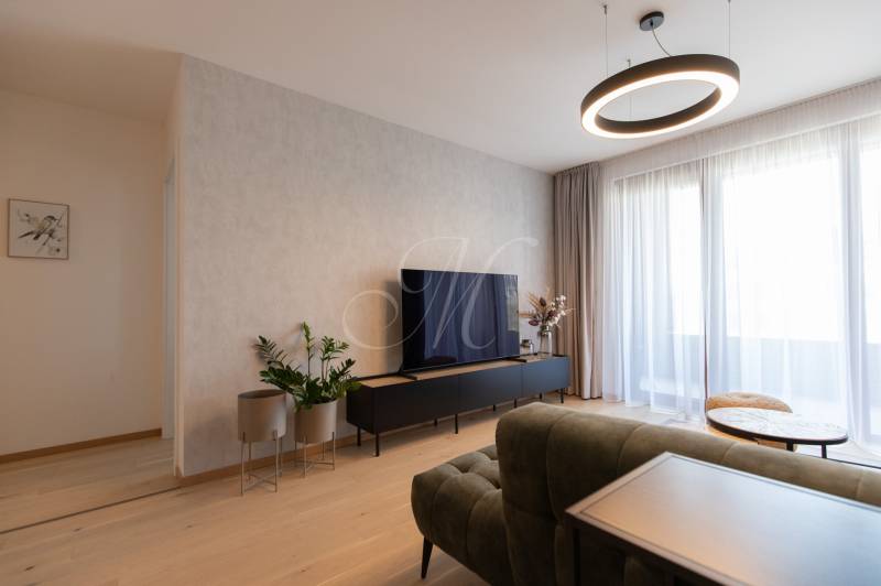 Living area in a two-room apartment with wood-patterned flooring and a television.