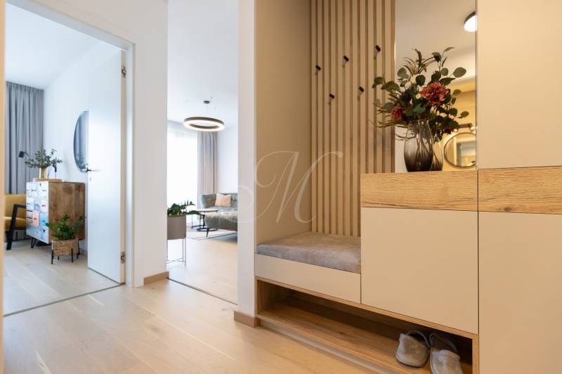 A hallway in a 2-room apartment with a plant on a cabinet and a light wooden-patterned floor.