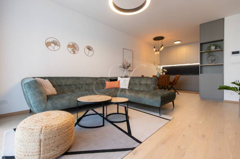 Living room in a two-room apartment with a sofa, coffee tables, and wood-patterned flooring.