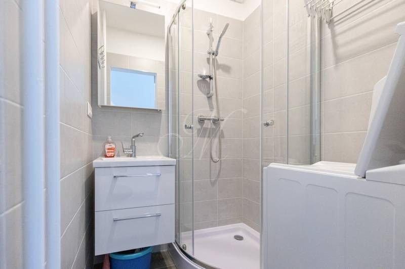 Bathroom with a sink, shower, and storage space in a 2-room apartment.