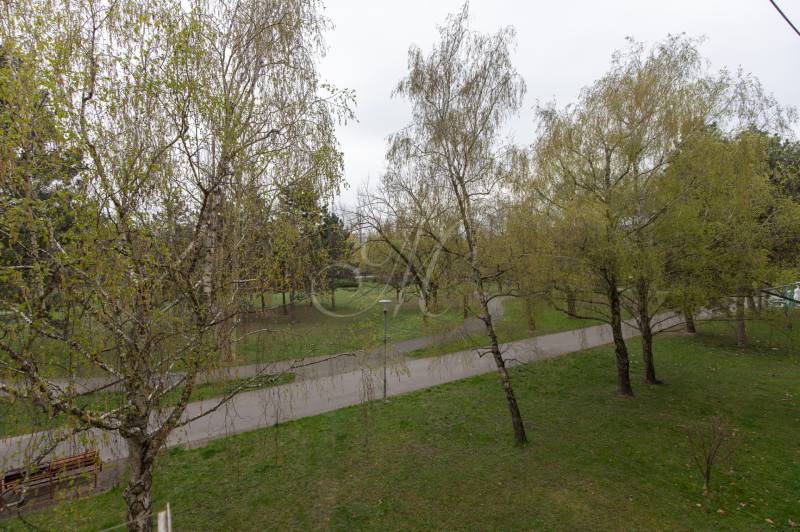 Park with trees and pathways in Bratislava - Ružinov on Planets.