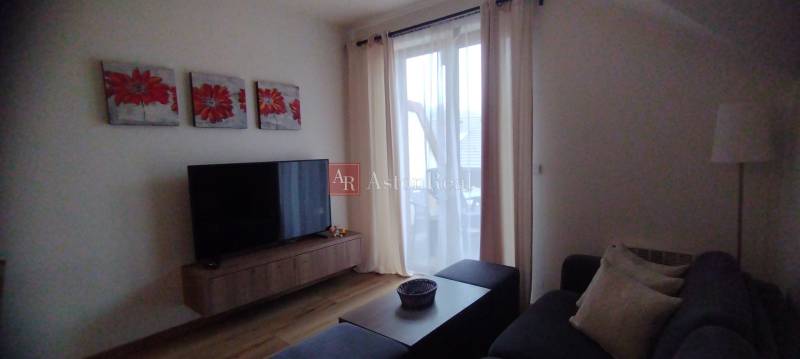 Living room with wood-patterned flooring, television, and couch, 2-room apartment.