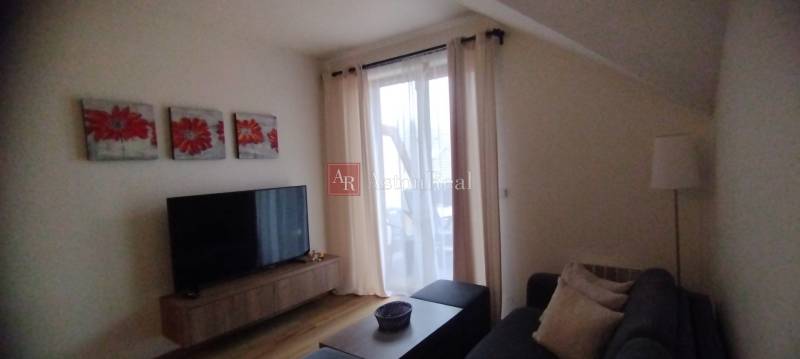 Living room in a two-room apartment with a wooden decor floor, decoration, and a television.