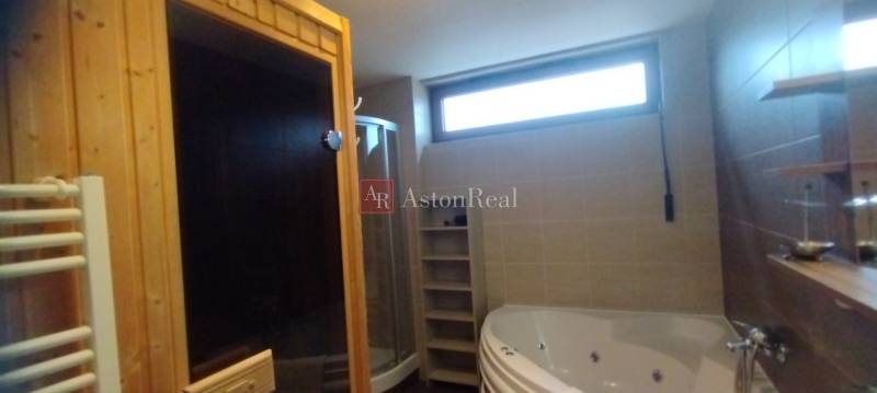 A bathroom in a 2-room apartment with a sauna, shower, and jacuzzi.