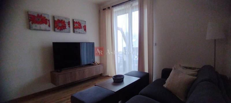 Living room with a television, wooden decor flooring, and a comfortable couch in a two-room apartment.