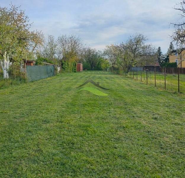 A garden in Michalovce by a family house with mowed lawn and trees.