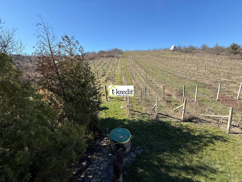 In Zlaté Moravce, there is a vineyard with a cottage and a landscaped garden.