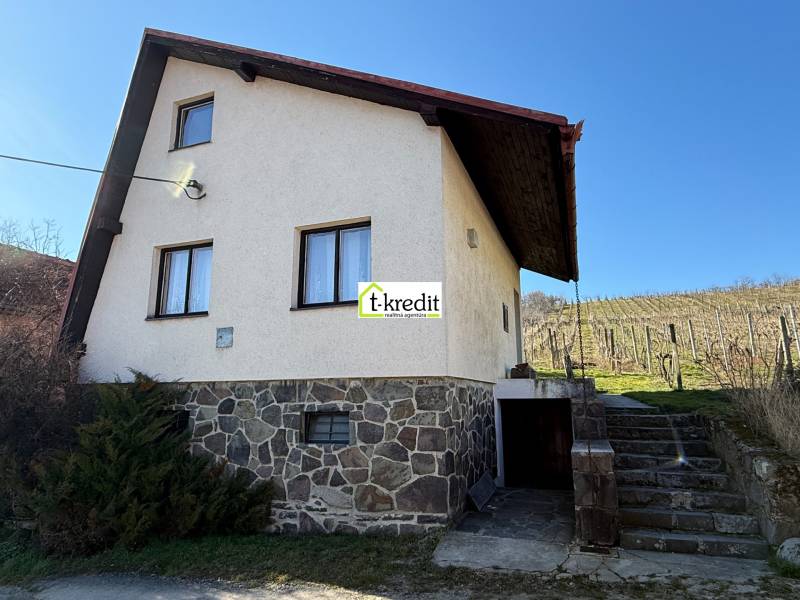 A cottage in Zlaté Moravce with a stone foundation and a vineyard on a slope.