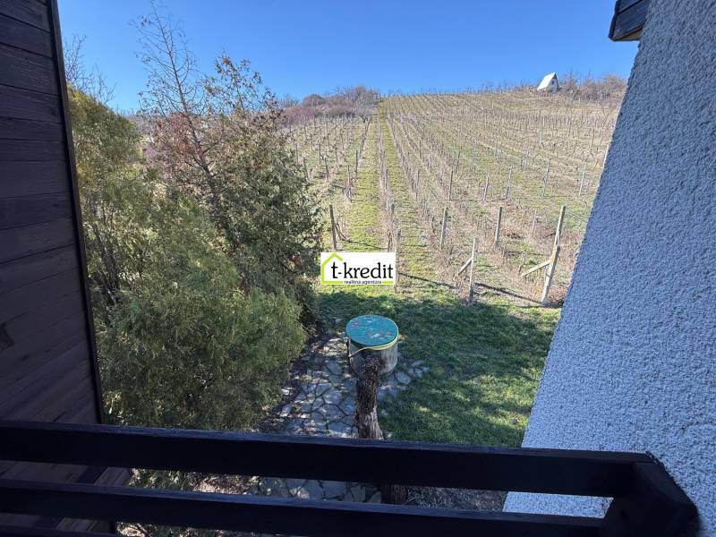 View from the cottage to the vineyard in Zlaté Moravce with trees and a blue sky.