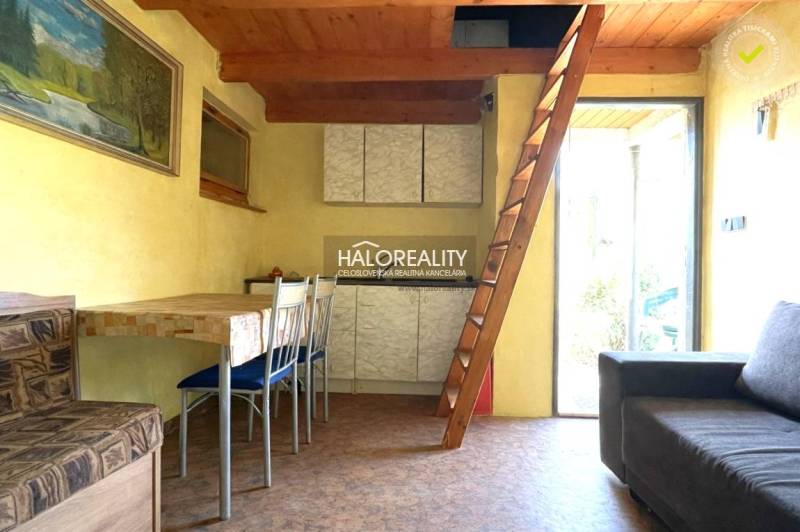 Interior of a cabin with a wooden ceiling, ladder, and floor with a wooden decor.