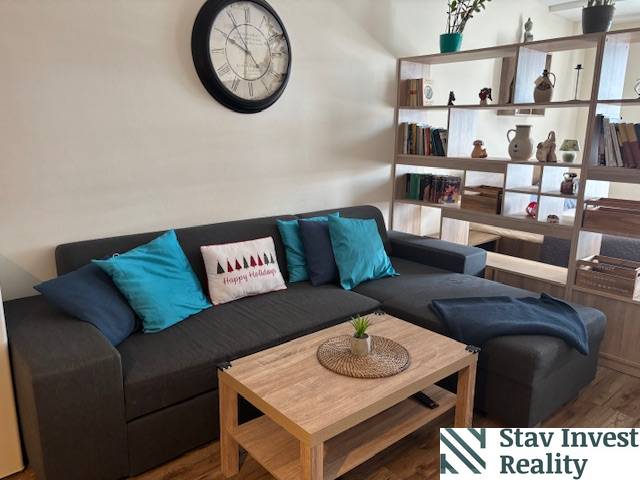 Living room of a one-bedroom apartment with a sofa, coffee table, and decorative shelf.