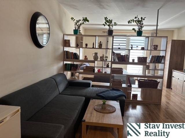 Bright living room in a studio apartment with wood-patterned flooring and shelves.