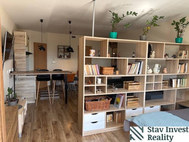 Interior of a 1-bedroom apartment with wood-patterned flooring and an open kitchen.