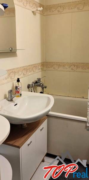Bathroom with shower and sink in a 3-room apartment.