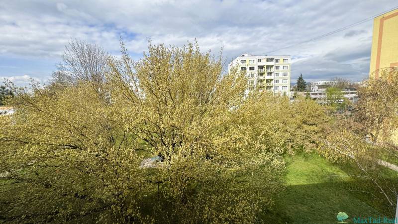 A view of the green courtyard from Škultétyho Street in Trebišov, surrounded by trees.