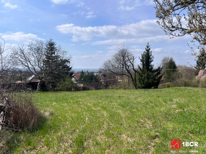 Greenery on the plots - living in Marianka on Budovateľská Street surrounded by trees and nearby houses.