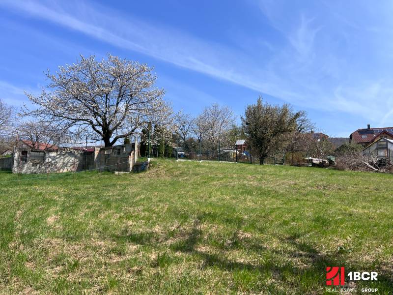 Blooming trees and a grassy area on a residential plot in Marianka on Budovateľská Street.