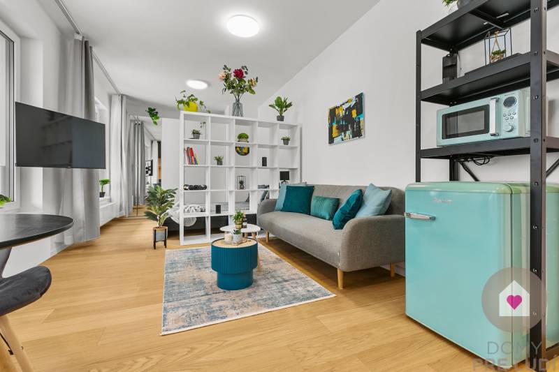 Living area in a studio apartment with wood-patterned flooring and decorations.