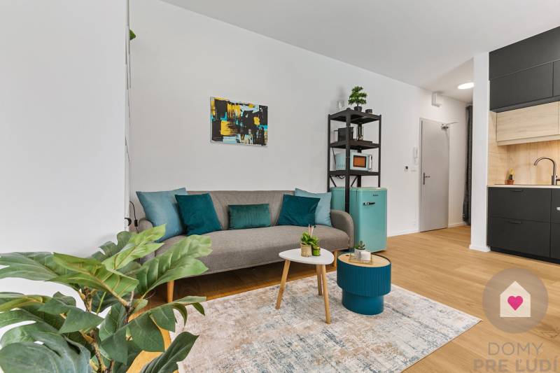 A bright living space in a studio apartment with a sofa and a plant, wooden decor flooring.