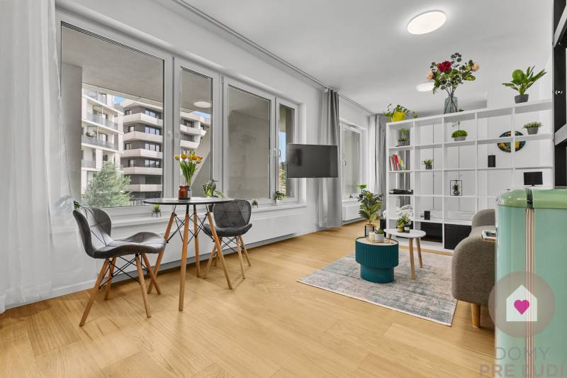 Living room of a one-bedroom apartment with large windows, wood-patterned flooring, and plants.