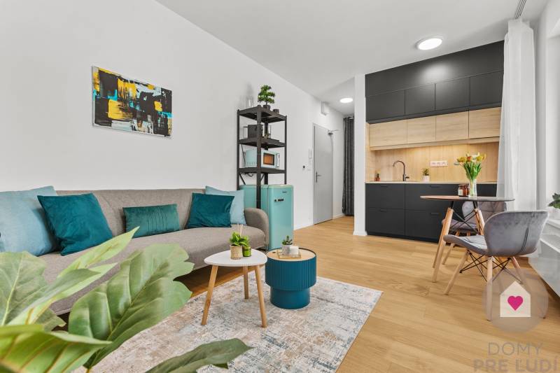 Living room with a couch, decorative pillows, and a wooden-patterned floor in a studio apartment.