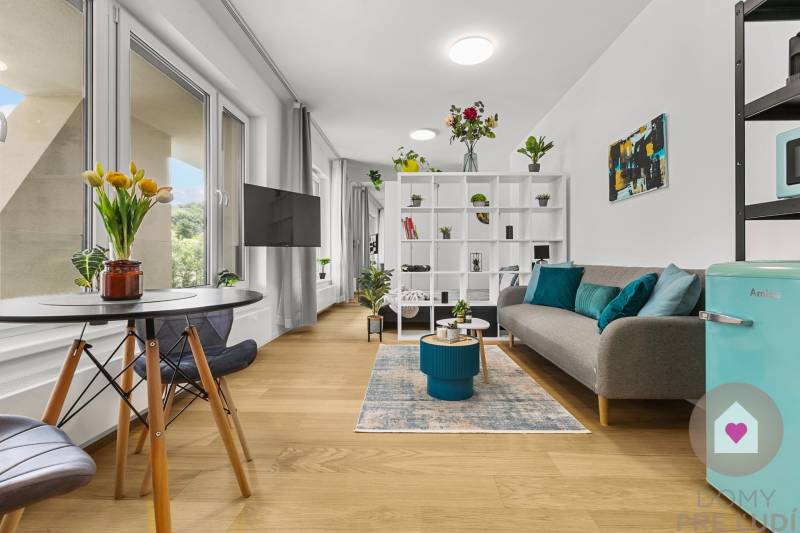 Bright 1-room apartment with wood-patterned flooring, a sofa, and a dining area.