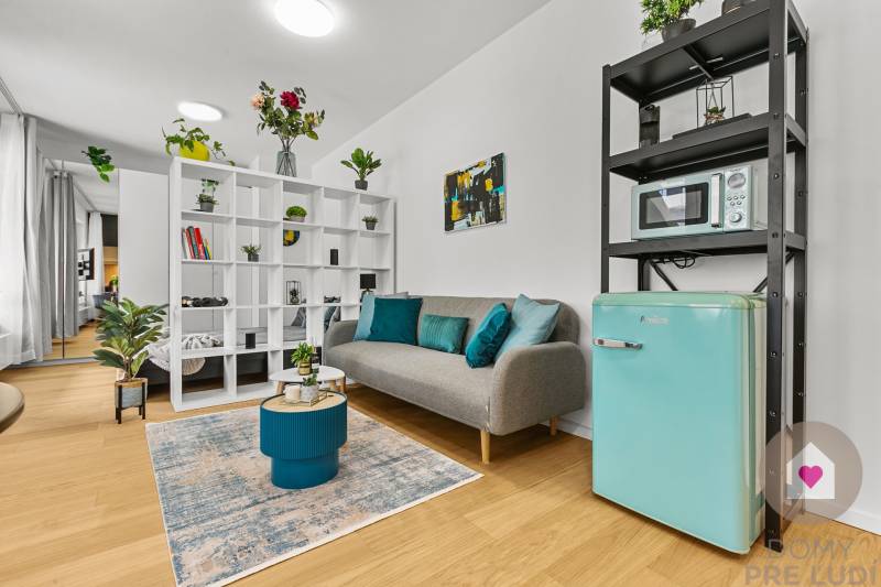 A stylish living area in a studio apartment with wood-patterned flooring, decorations, and plants.