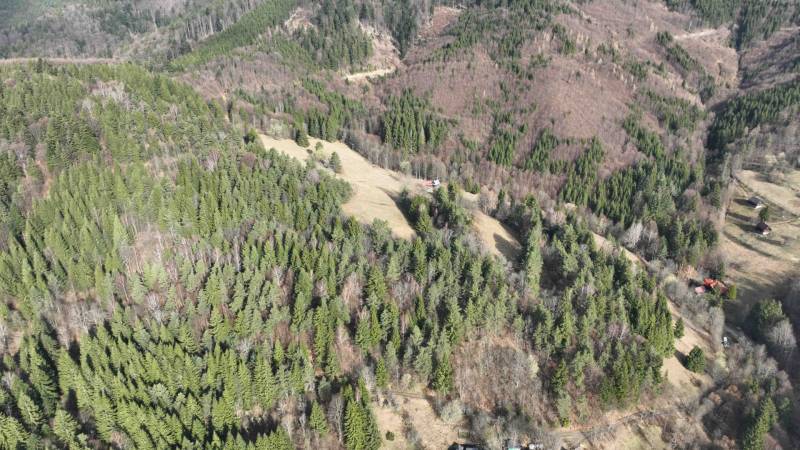 Forests and meadows in the village of Lazy pod Makytou surrounded by hills and greenery.