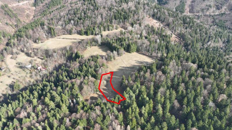 Meadows and forests in Lazy pod Makytou stretch among dense trees.