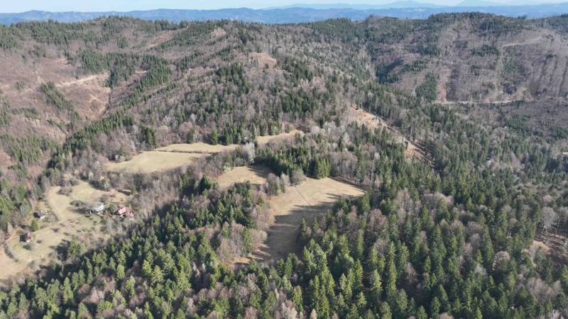 Wooded landscape and meadows near Lazy pod Makytou, agricultural and forest lands.