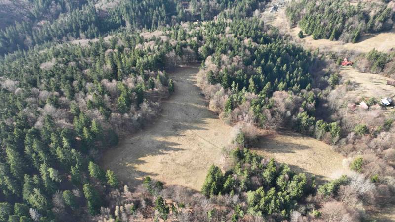 Agricultural and forest land in Lazy pod Makytou with dense forest and open meadows.