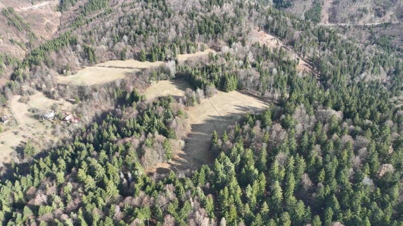 Agricultural and forest lands in Lazy pod Makytou, surrounded by forests and grassy areas.