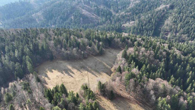 Aerial view of agricultural and forest land in Lazy pod Makytou, surrounded by dense forest.