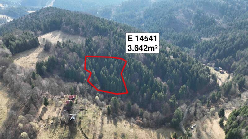 Aerial view of agricultural and forest lands in Lazy pod Makytou, framed by forests.
