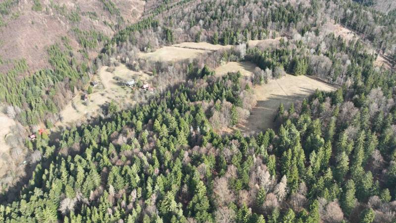 Forests and meadows in Lazy pod Makytou, agricultural and forest lands surrounded by nature.