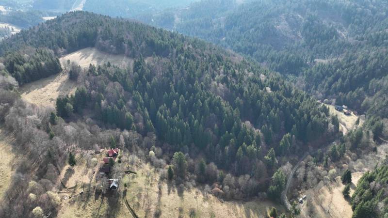 Forests and meadows surround Lazy pod Makytou with agricultural and forest lands.