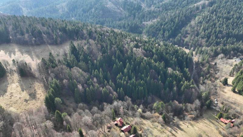 Aerial view of agricultural and forest land around Lazy pod Makytou.