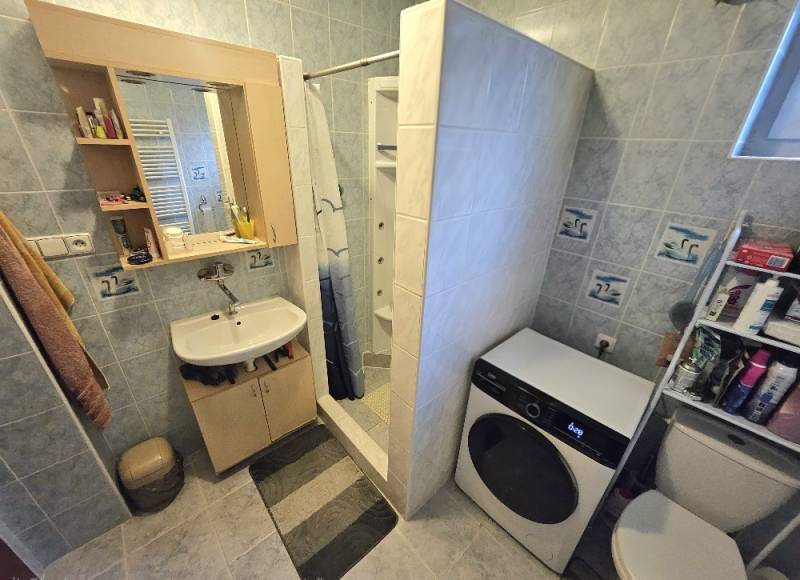 Bathroom in a family house with a sink, shower, washing machine, and toilet.