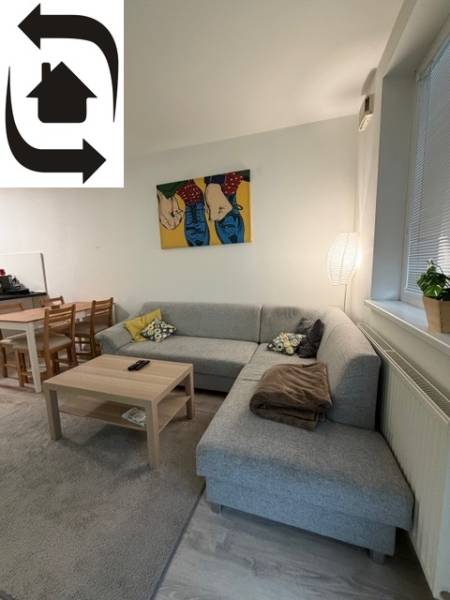 A bright living room with a corner sofa and art in a two-room apartment.