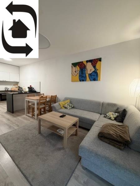 Living area in a 2-room apartment with a sofa, table, and dining nook.