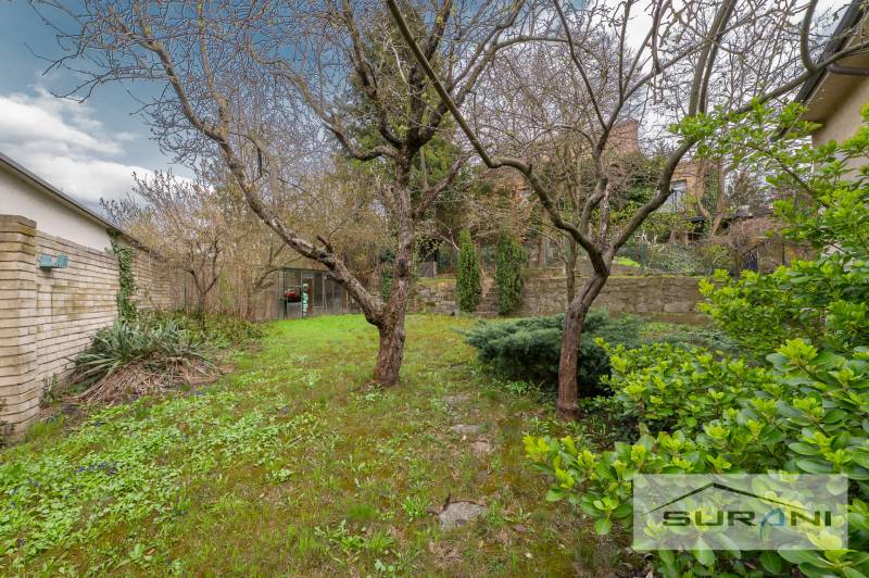 Garden at a 4-room apartment on Krčméryho Street in Bratislava - Staré Mesto.