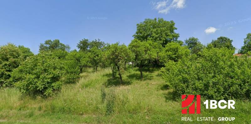 Green agricultural and forest land in Rudník with a variety of trees and shrubs.