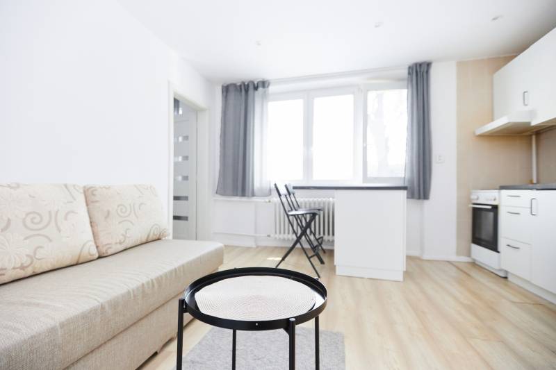 Living room in a two-room apartment with a sofa and a wooden decor floor.