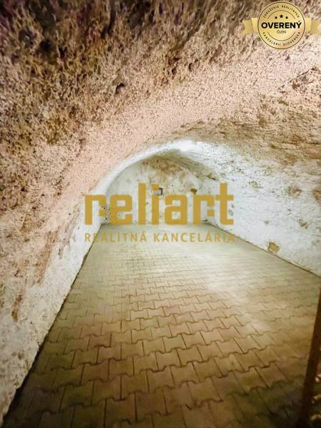 A basement with a brick floor in a family house.