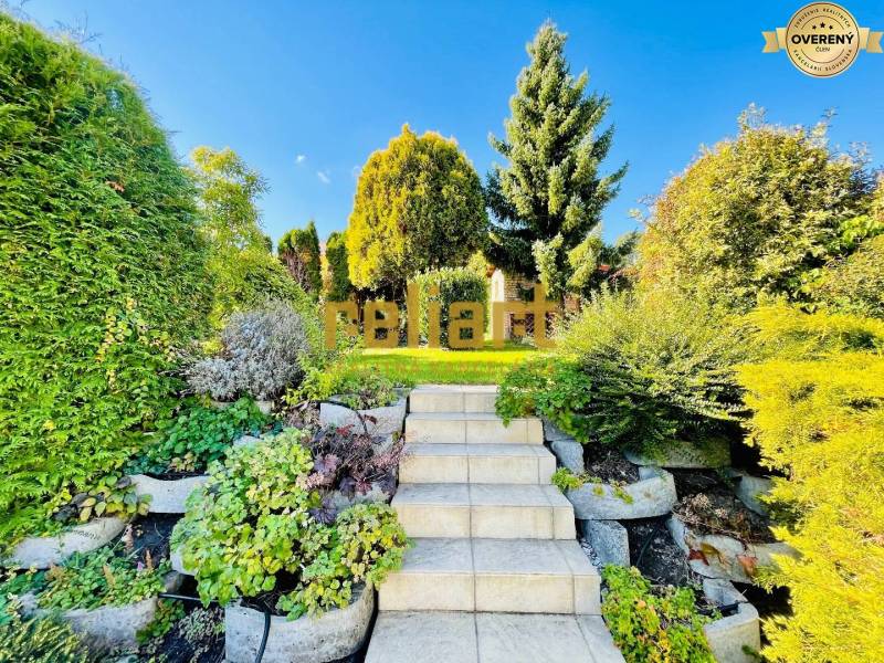 Stairs leading to the garden at a family house, surrounded by greenery and trees.