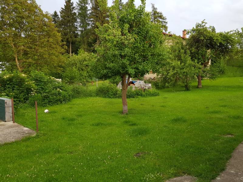 A garden at a family house on the street in Blatnica with a lawn and trees.
