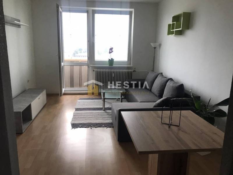 Living room in a two-room apartment with a wooden decor floor and a sofa.