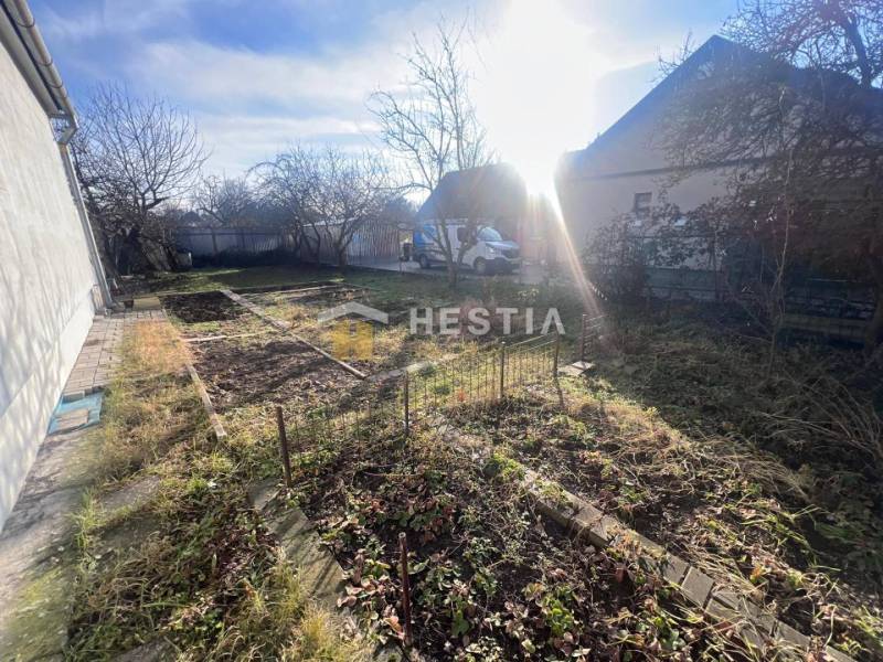 A garden with bare trees and fenced flower beds in Senica, illuminated by sunlight.
