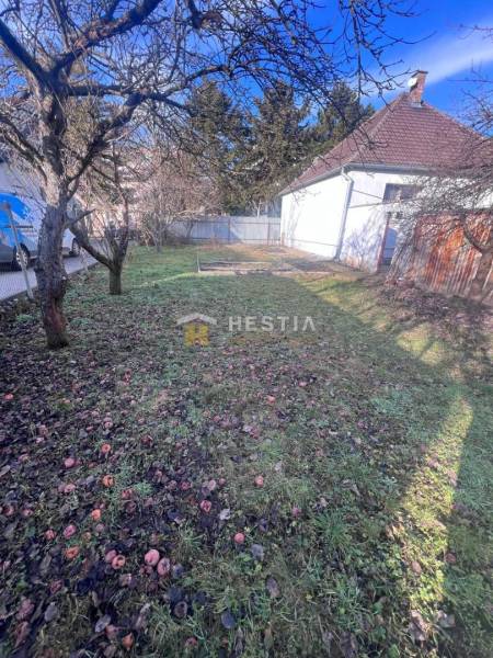 A garden in Senica with fruit trees and a lawn near dining facilities.